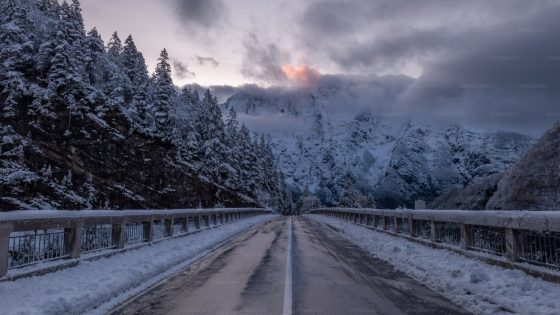 Winter