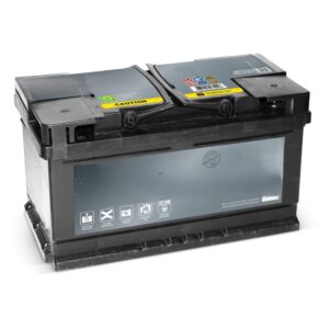 PrivateLabel 12v battery