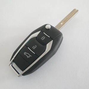 eDeliver3 - Remote key
